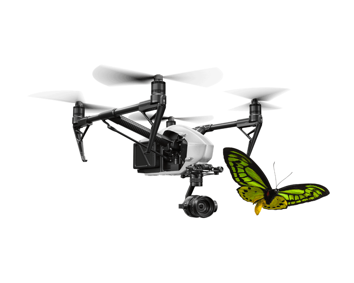 Drone with green butterfly